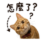 858965005