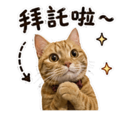 858965006