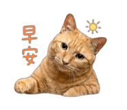 858965009