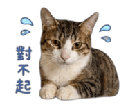 858965016