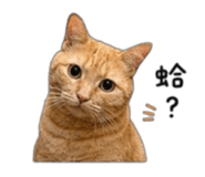 858965029