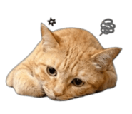 858965034