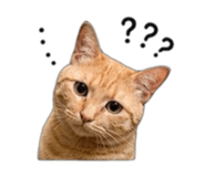 858965035
