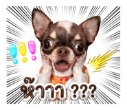 858966644