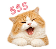 858966692