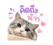 858966882
