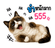 858966899