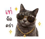 858968532