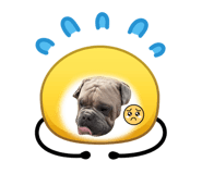 858968854