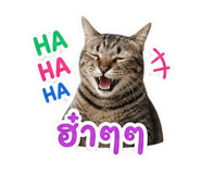 858969150