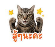 858969160