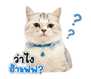 858970925