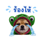 858972432