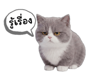 858975248