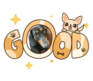 858975385
