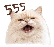 858975437