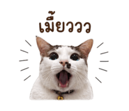 858975498