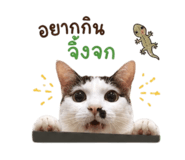 858975500