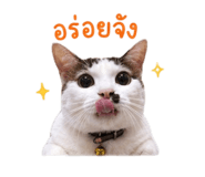858975503