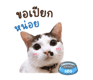 858975510