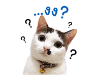 858975536
