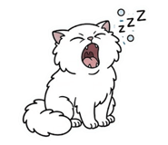 858977645
