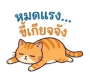 858979042
