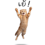 858979578