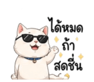 858979912