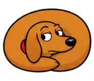 858980562