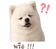 858981482