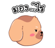 858981593