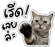 858982387