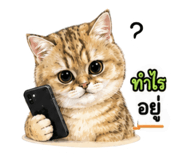858983947