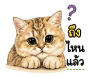 858983951