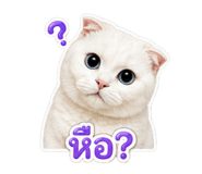 858984085