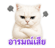 858984105