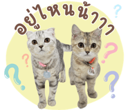 858984276