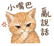 858985858