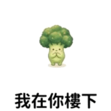 858987003
