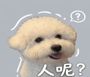 858987121