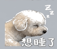 858987123