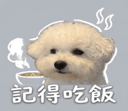 858987125