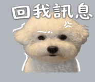 858987126
