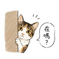 858989334