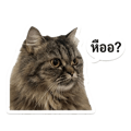 858990028