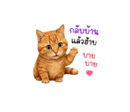 858991271