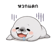 858991307