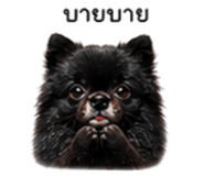 858991481