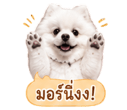 858991505
